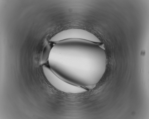 X0000091980818200709201424