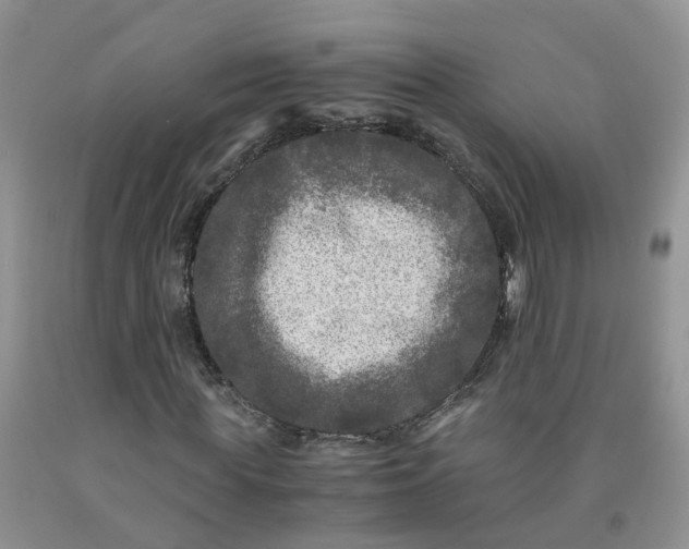 X0000091980819200709201425