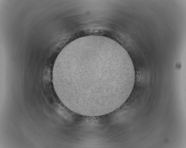 X0000091980820200709201425