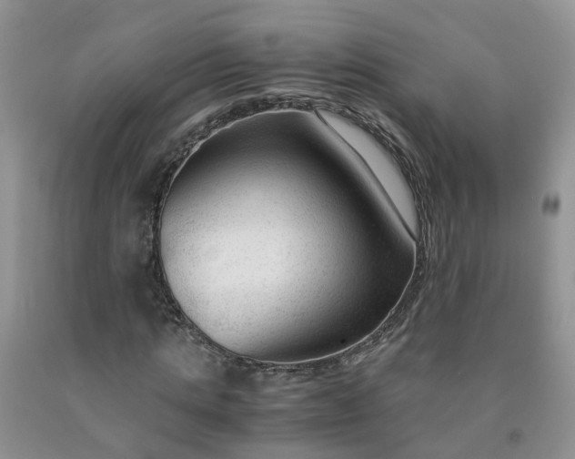 X0000091980821200709201425