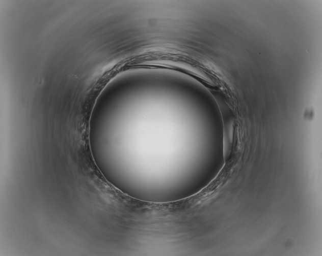 X0000091980822200709201425