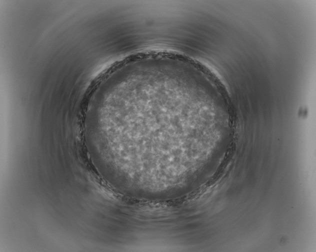 X0000091980823200709201425