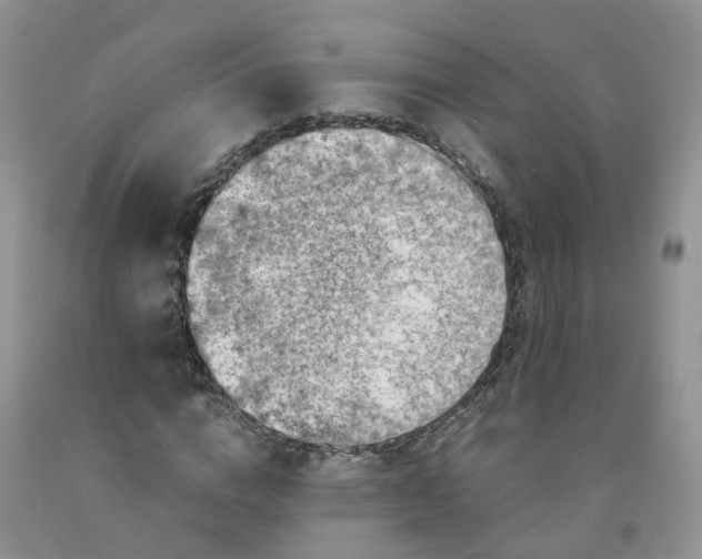 X0000091980824200709201425