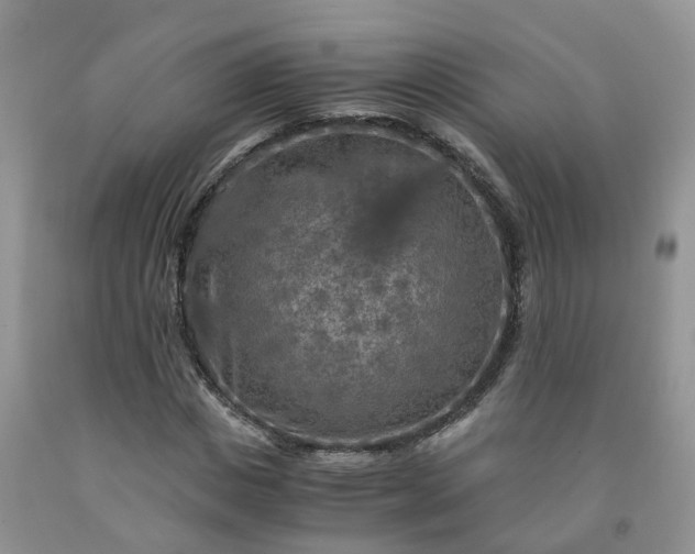 X0000091980825200709201425