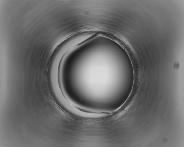 X0000091980826200709201425