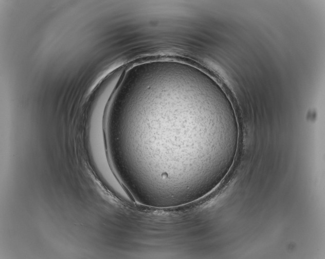 X0000091980827200709201425