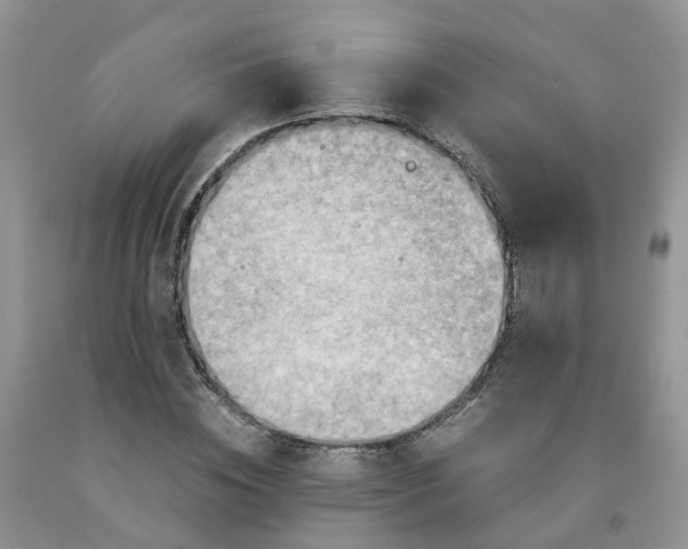 X0000091980828200709201425