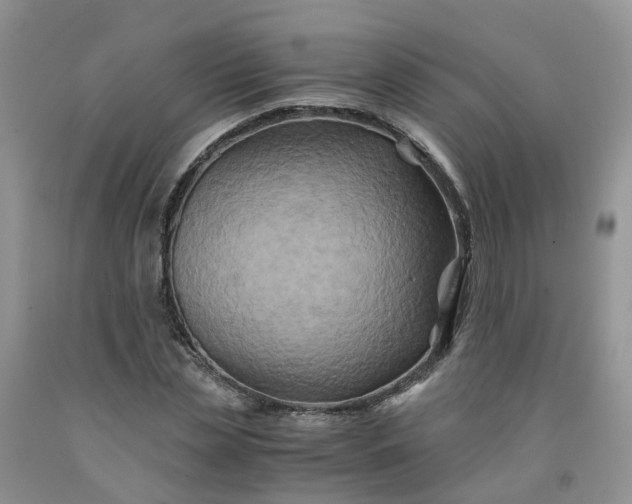 X0000091980829200709201425