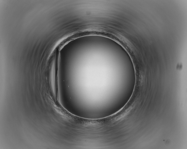 X0000091980830200709201425