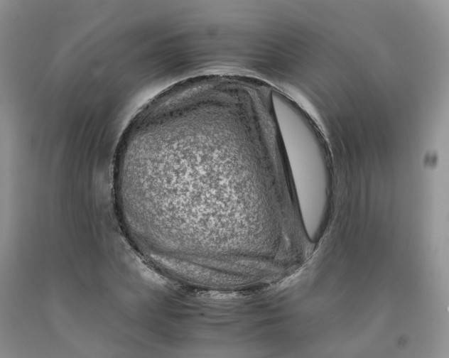 X0000091980831200709201425