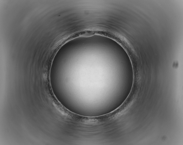 X0000091980833200709201425