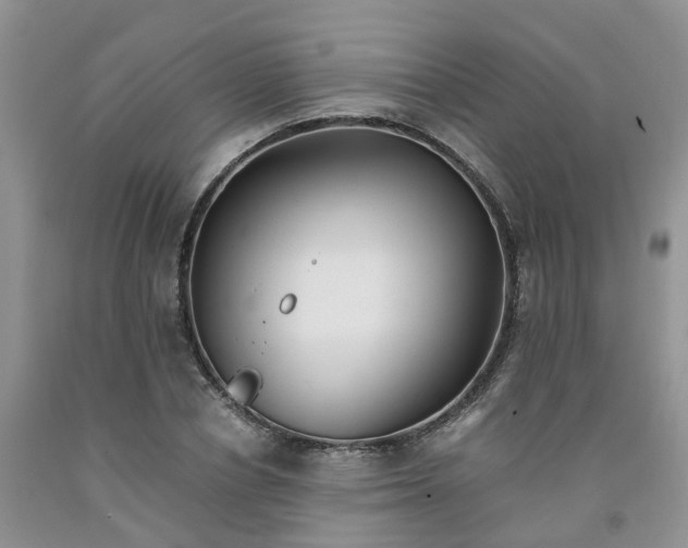 X0000091980834200709201425