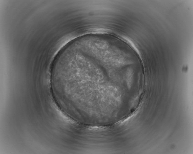 X0000091980835200709201425