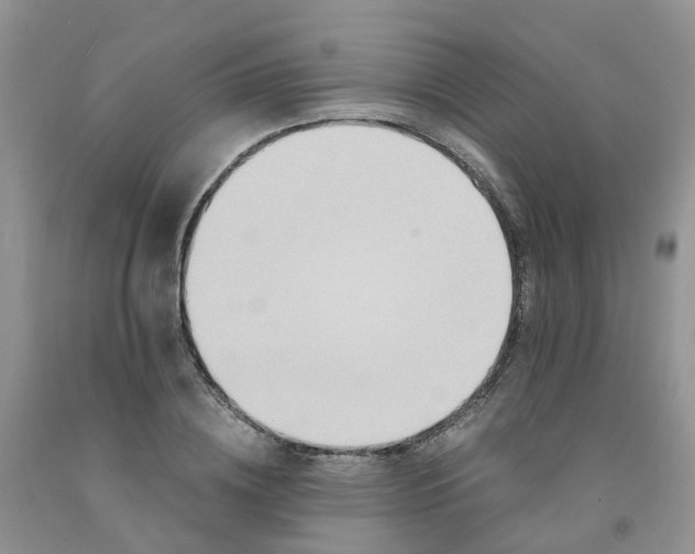 X0000091980836200709201425