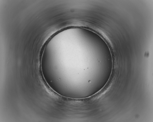 X0000091980837200709201425