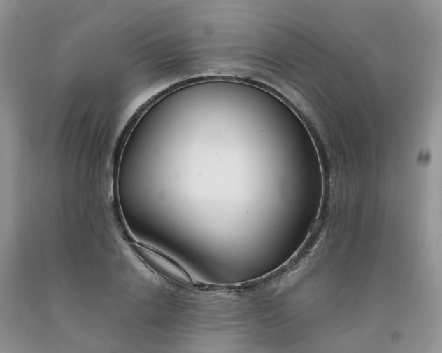 X0000091980838200709201425