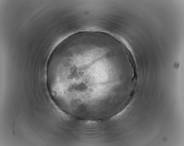 X0000091980839200709201425