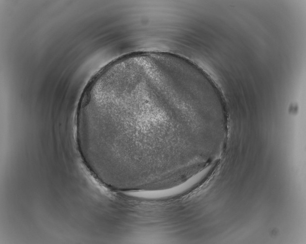 X0000091980840200709201425