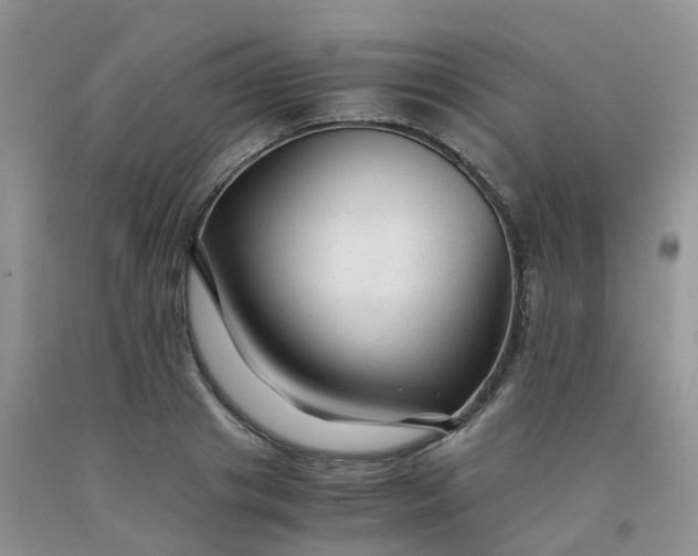 X0000091980841200709201425