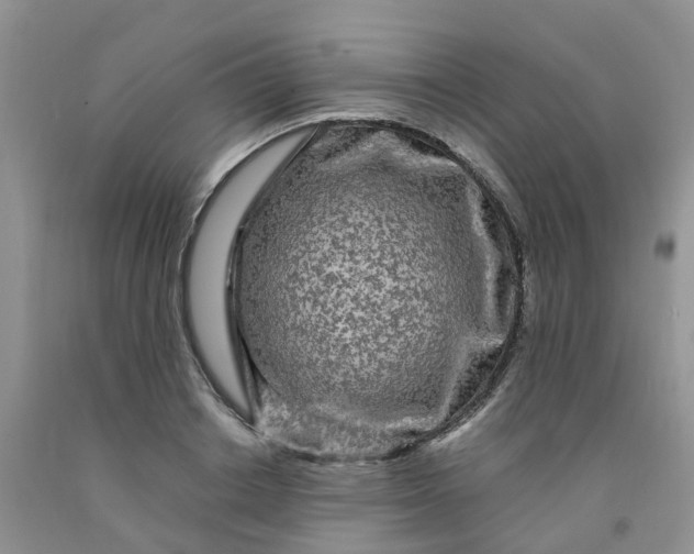 X0000091980842200709201425