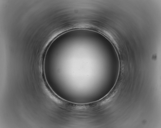 X0000091980843200709201425