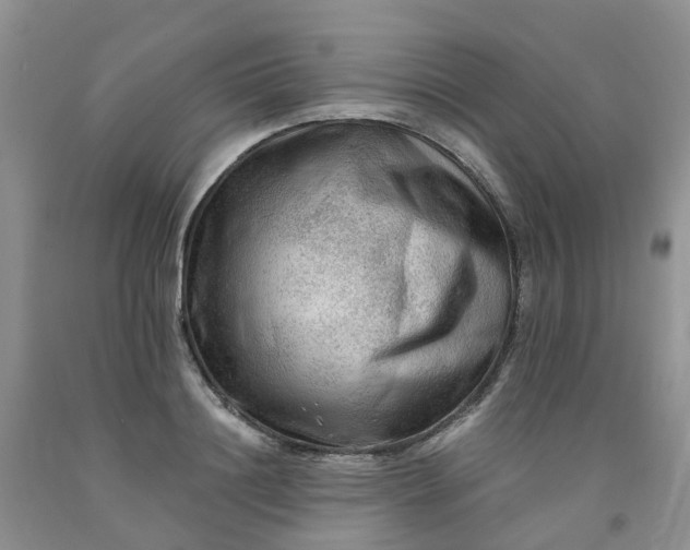 X0000091980844200709201425