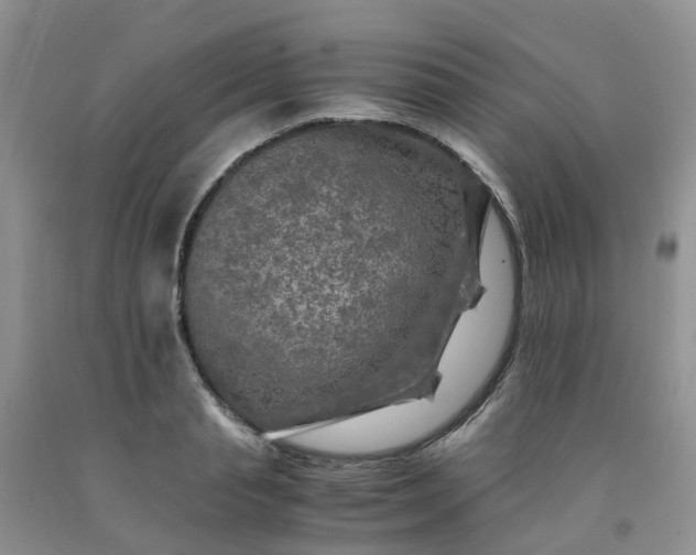 X0000091980845200709201425