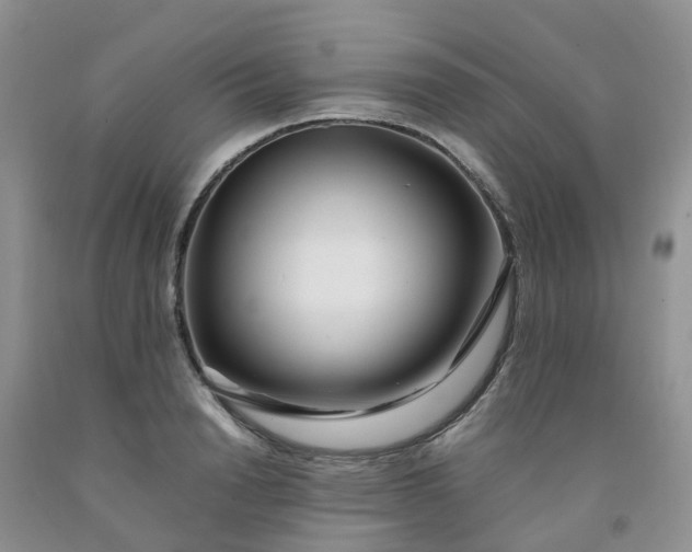 X0000091980846200709201425