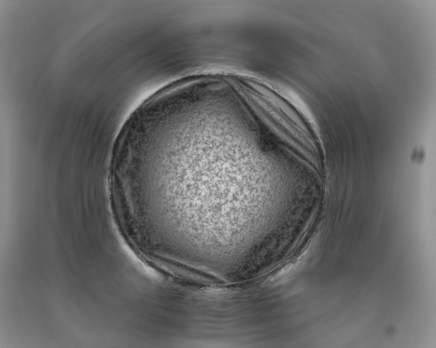 X0000091980847200709201425