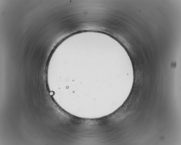 X0000091980848200709201425