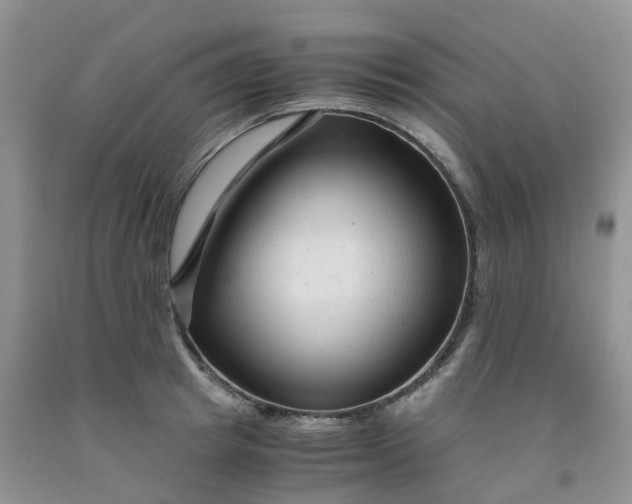 X0000091980849200709201425