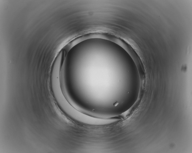 X0000091980850200709201425