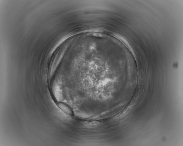 X0000091980851200709201425