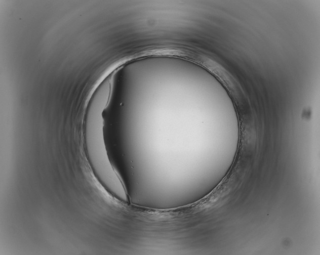 X0000091980852200709201425