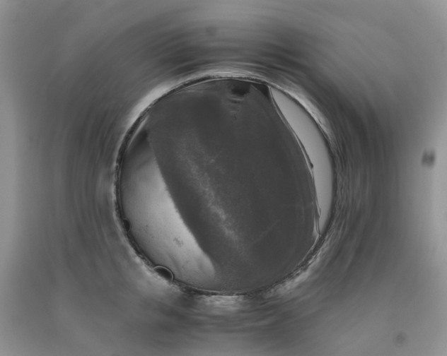 X0000091980853200709201425