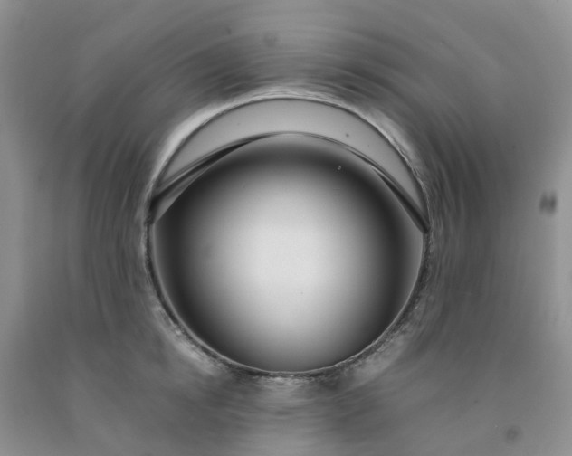 X0000091980854200709201425