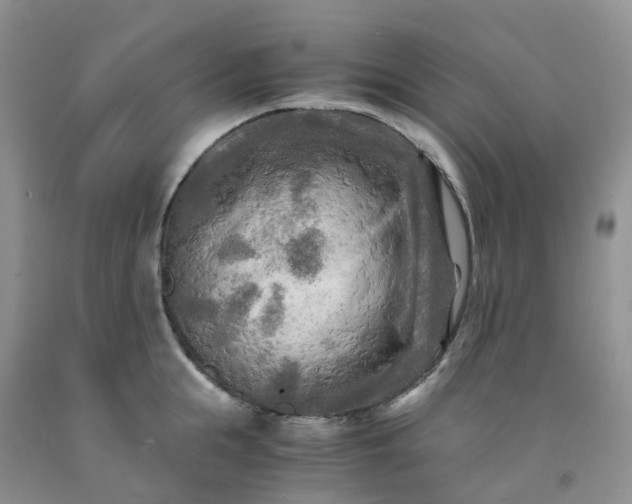 X0000091980855200709201425