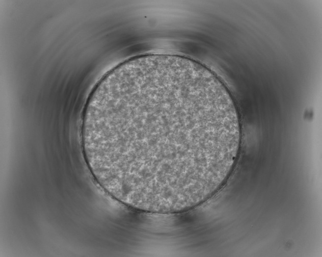 X0000091980856200709201425