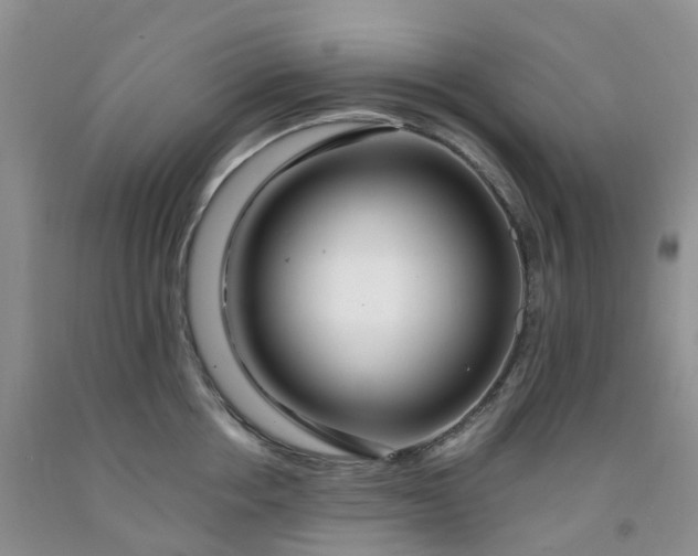 X0000091980858200709201425