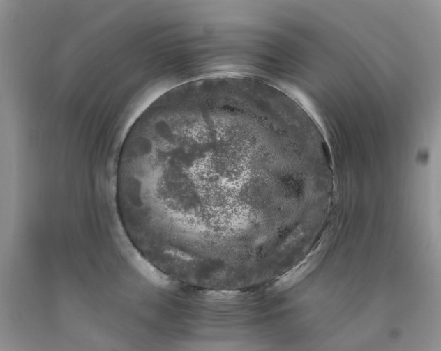 X0000091980859200709201425