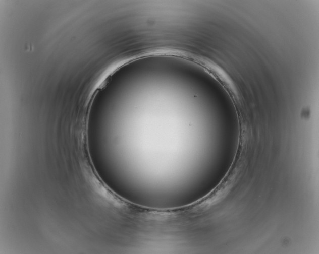 X0000091980860200709201425