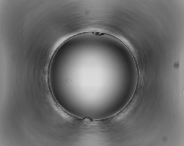 X0000091980862200709201425