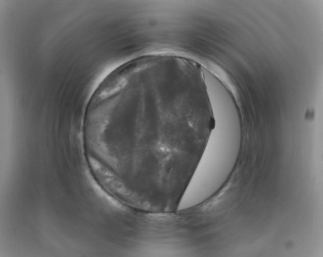 X0000091980863200709201425