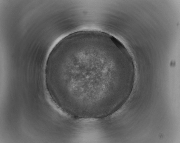 X0000091980864200709201425