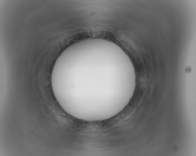 X0000091980865200709201424