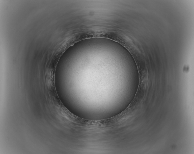 X0000091980866200709201424