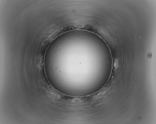 X0000091980867200709201424