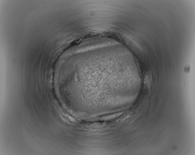 X0000091980868200709201424