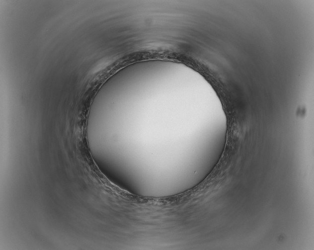 X0000091980869200709201424