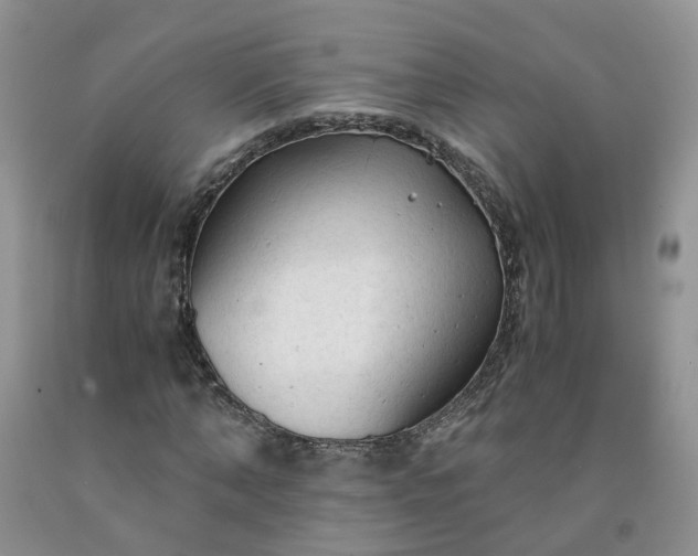 X0000091980870200709201424